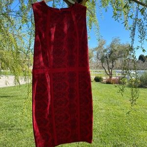 Kardashian Kollection Red Black lace knit dress
